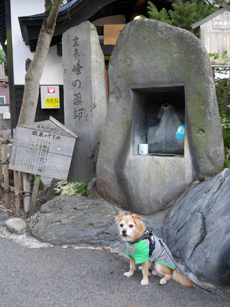 ( なんかあるだよ )