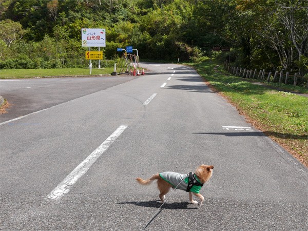 ( 山形県と福島県 )