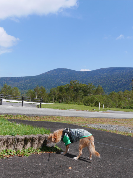 ( たぶん西吾妻山 )