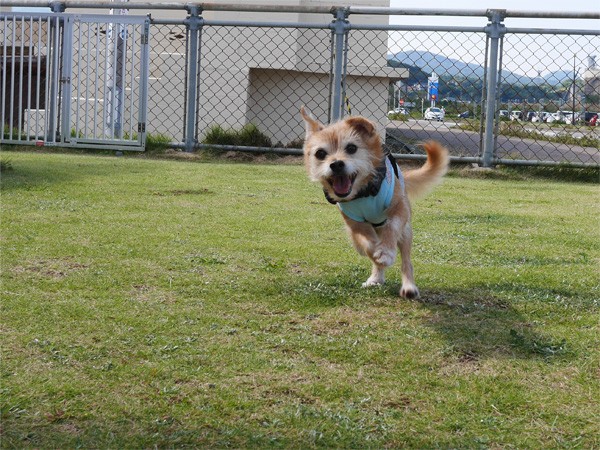 ( うほっほ~ )
