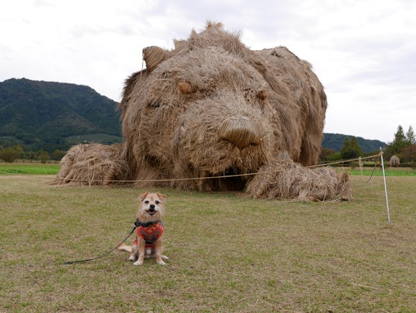 ( おひさしぶり )