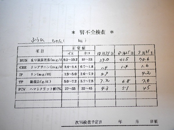 ( ジャーン!)