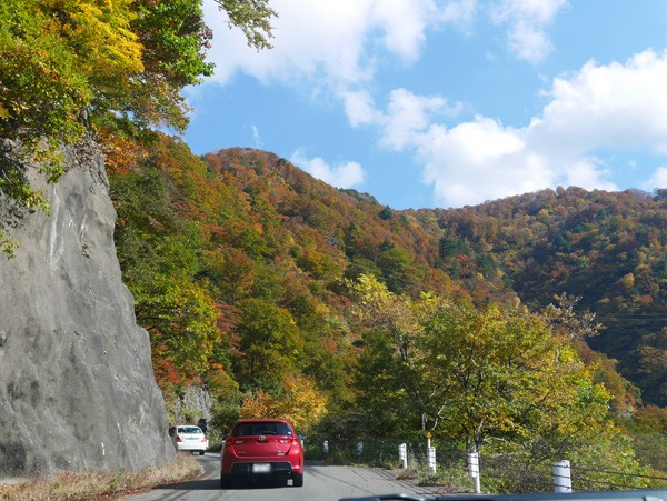 ( くねくね道 )