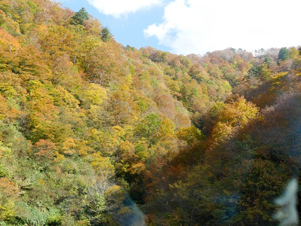 ( 紅葉の山 )