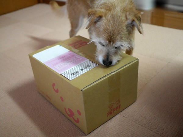 ( なになに )