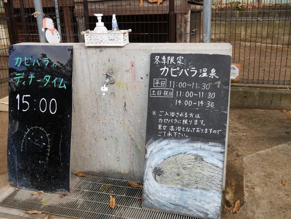 ( カピバラ温泉 )