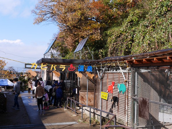 ( カピバラ温泉 )