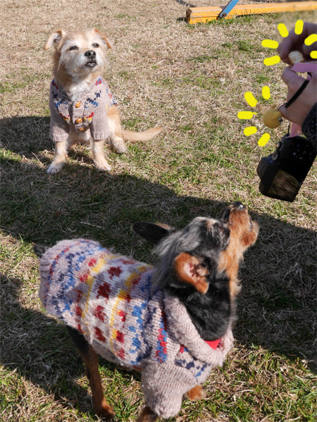 ( ごくり。。。 )