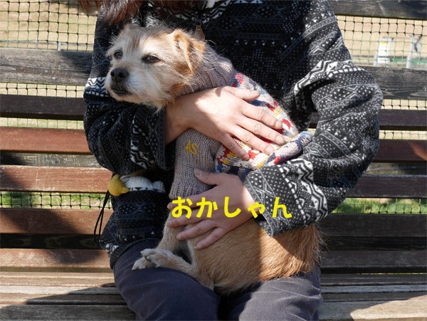 ( 愛があふれてるだよ )
