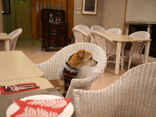 ( そわそわ )