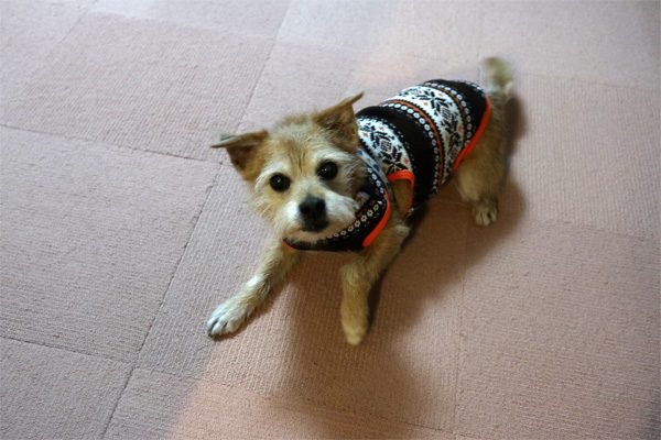 ( さっ。 )