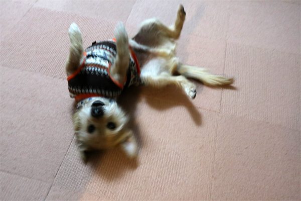 ( はやく~ )
