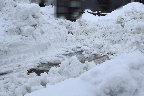 ( 気合の入った除雪 )