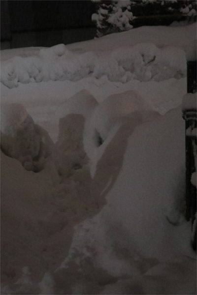 ( 5時間後には )