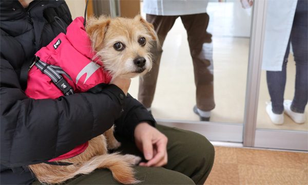 ( 先客いるだよ )