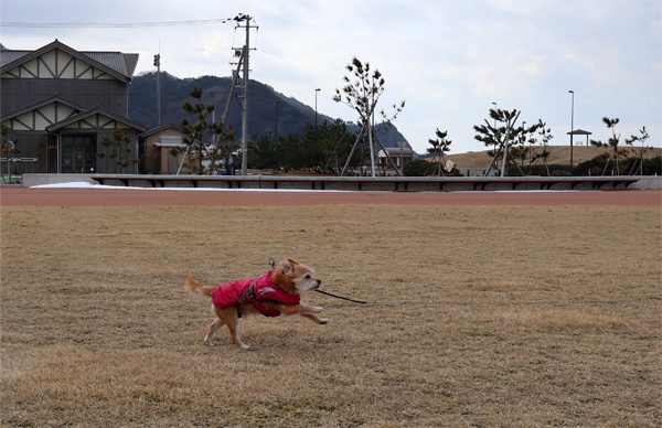 ( 土だ~~ )