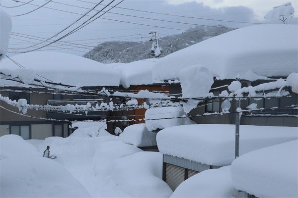 ( 落ちない雪 )
