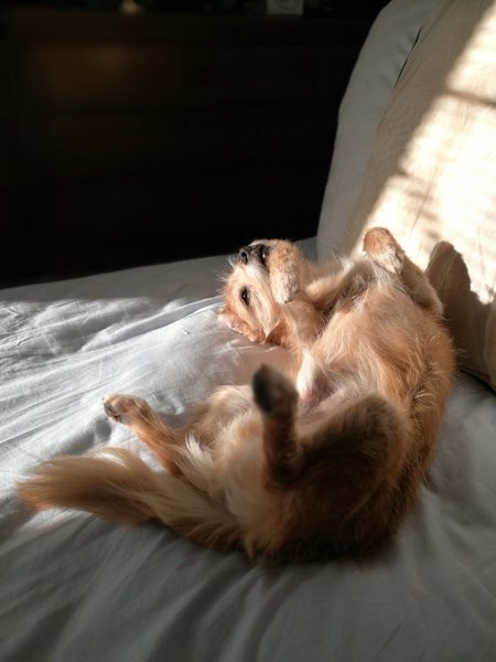 ( Zzzzzz )