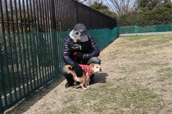 ( ここでいいだよ )