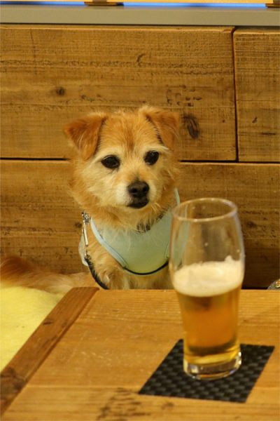 ( ビールよりも、、、 )