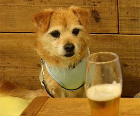 ( ビールよりも、、、 )