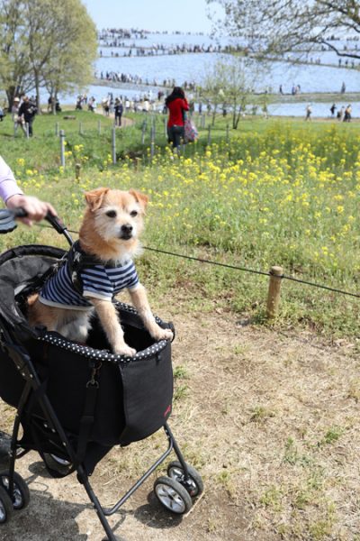 ( 移動するだね )