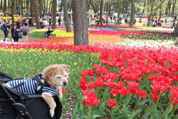 ( へぇ~ )