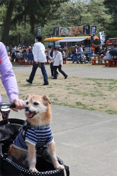 ( おいしそうだね )