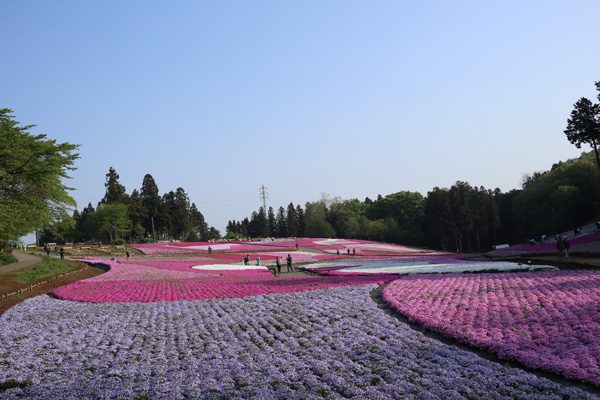 ( 8時前の静けさ )