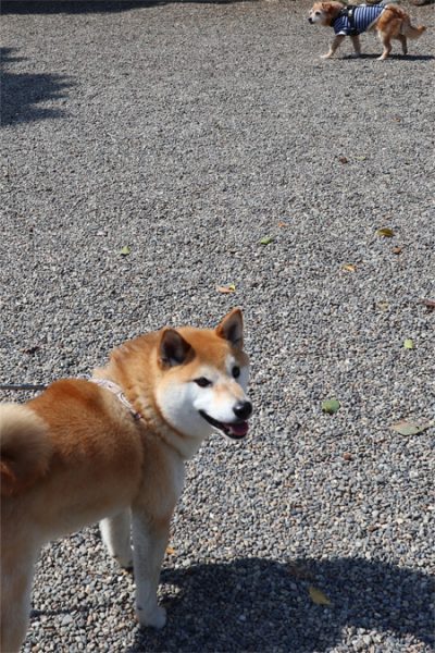( そーーーっ )