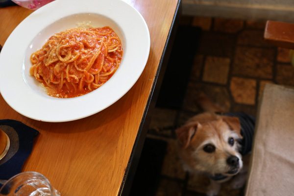 ( トマトとチーズのパスタ )