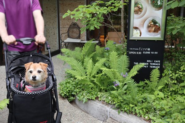 ( お店の入り口 )
