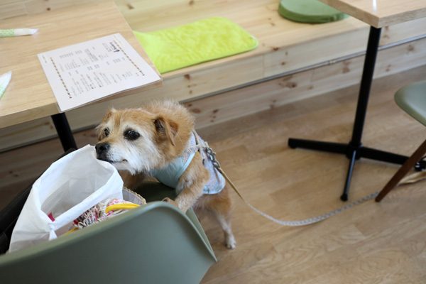 ( おら、こっちにするだ )