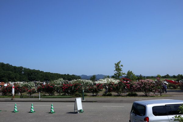 ( 駐車場からの眺め )
