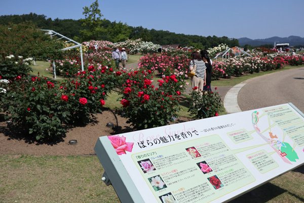 ( 国営越後丘陵公園 )