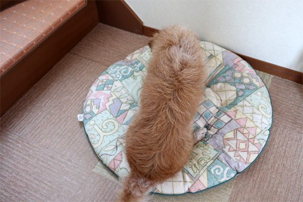 ( まいうー )