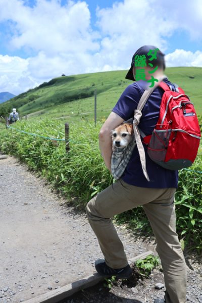 ( ひょっこり )