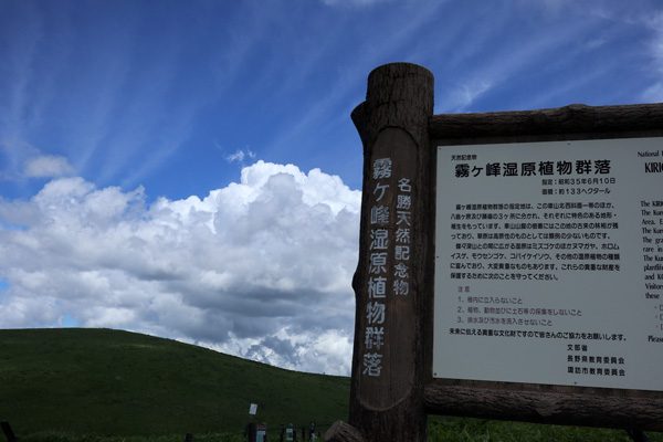 ( 霧ヶ峰高原 )