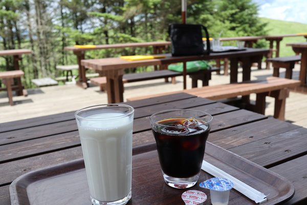 ( 飲みましょう )