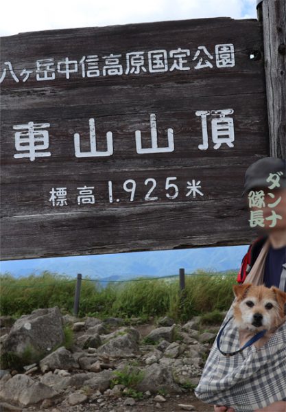 ( 登頂しただ )