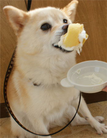 ( はうっ )