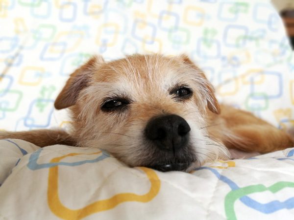 ( Zzzzzz )
