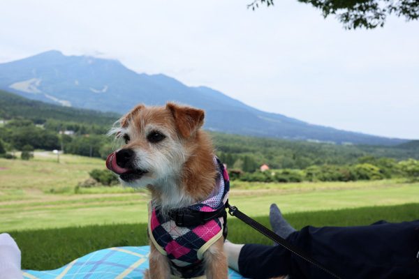 ( ランチタイムだ )