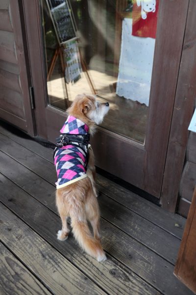 ( 来ただよ~ )