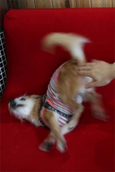 ( うひょひょひょ~♪ )