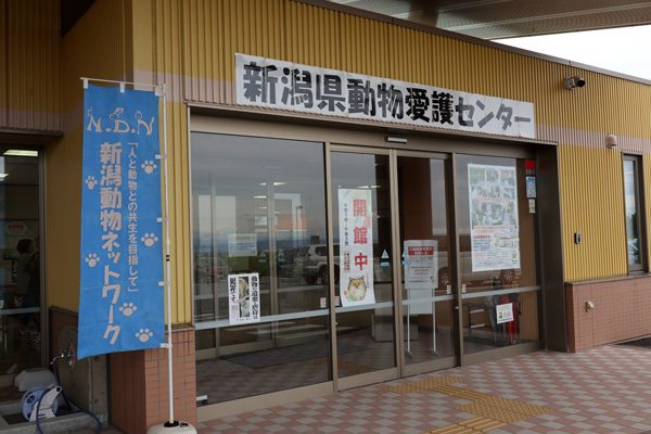 ( お久しぶりです )