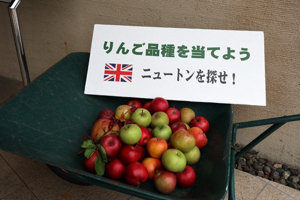 ( りんごだらけ )