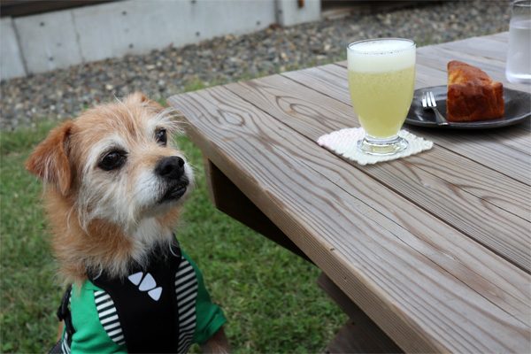 ( おーーー )