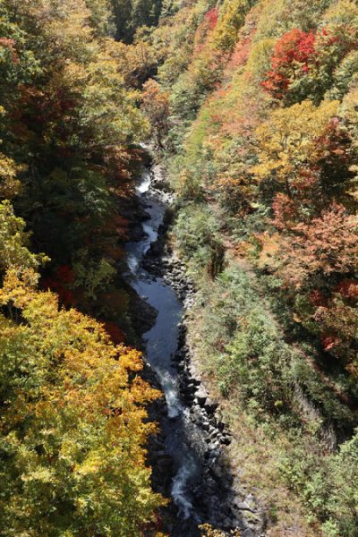 ( 中津川渓谷 橋の上から )