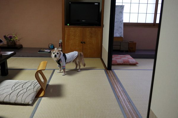 ( うろうろ )